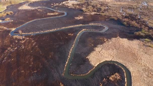 Bränt Torrt Gräs Naturreservatet Vid Floden Seret Från Fågelperspektiv Inspelning — Stockvideo
