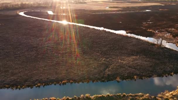 Verbranntes Trockenes Gras Naturschutzgebiet Des Flusses Seret Aus Der Vogelperspektive — Stockvideo