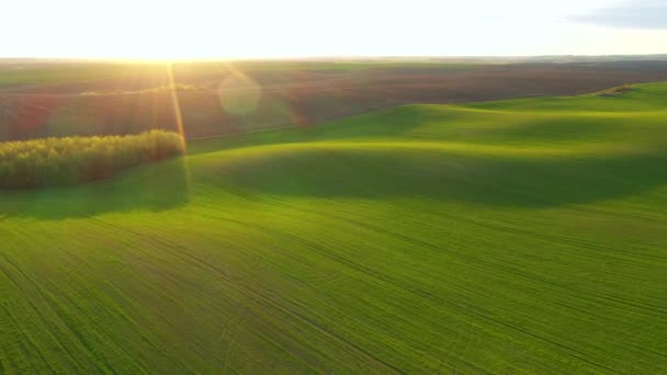 五彩缤纷的春景 一座座起伏的农田小山 鸟瞰着大地 用Uhd 无人机视频拍摄 — 图库视频影像