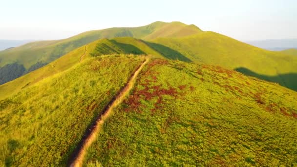 Incroyables Chaînes Montagnes Verdoyantes Plein Soleil Filmé Drone Vidéo — Video