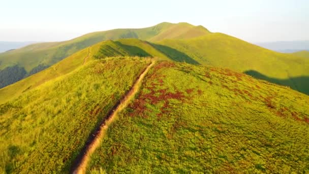 令人难以置信的青山在阳光下伸展 以4K 无人驾驶视频拍摄 — 图库视频影像