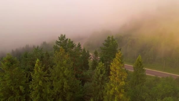 Dron Vuela Sobre Camino Desapareciendo Una Espesa Niebla Vista Pájaro — Vídeo de stock