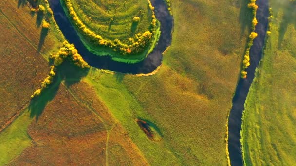 Egzotik Kıvrımlı Nehrin Yukarıdan Aşağı Manzarası Yeşil Çayırlar Boyunca Akar — Stok video