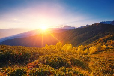 Dağ eteğindeki Alp Vadisi 'nin muhteşem manzarası. Ushba. Dramatik sabah sahnesi. Mestia, Yukarı Svaneti, Gürcistan, Avrupa. Yüksek Kafkasya sırtı. Sıcak tonlama etkisi. Güzellik dünyası.