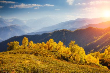 Dağ eteğindeki mavi gökyüzü ile Alp Vadisi 'nin muhteşem manzarası. Ushba. Dramatik resim sahnesi. Mestia, Yukarı Svaneti, Gürcistan, Avrupa. Yüksek Kafkasya sırtı. Güzellik dünyası.