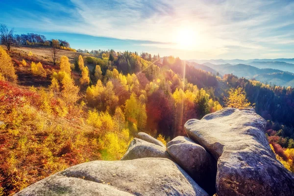 Maestosi Alberi Con Travi Soleggiate Valle Della Montagna Scena Drammatica — Foto Stock