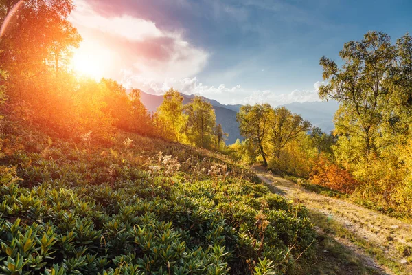 Fantastica Vista Sulla Valle Alpina Piedi Del Monte Ushba Scena — Foto Stock