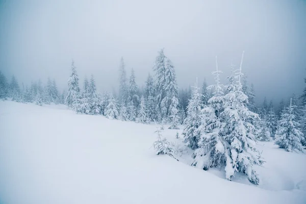 午前中に雄大な霧の風景 劇的で絵のような冬のシーン 場所カルパティア ウクライナ ヨーロッパ 美の世界 レトロでヴィンテージスタイル Instagramのトーン効果 明けましておめでとうございます — ストック写真