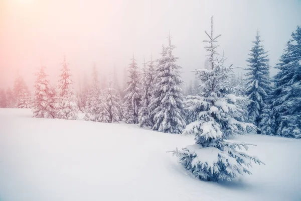 Majestueuze Mistige Landschap Gloeien Door Zonlicht Ochtend Dramatische Winterse Scène — Stockfoto