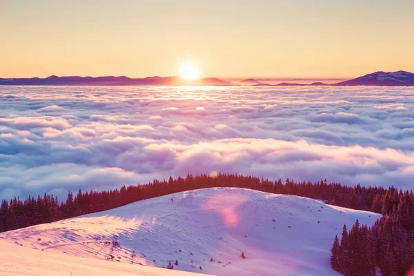 午前中は太陽の光に照らされた雄大な霧の風景 劇的で絵のような冬のシーン 場所カルパティア ウクライナ ヨーロッパ 美の世界 Instagramのトーン効果 明けましておめでとうございます — ストック写真