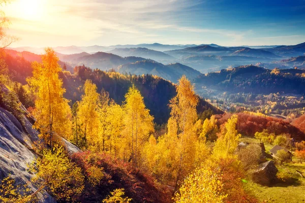 山の谷で日当たりの良いビームを持つ雄大な木 劇的で絵のような朝のシーン 赤と黄色の葉 暖かいトーニング効果 カルパティア人ソキルスキー尾根 ウクライナ ヨーロッパ 美の世界 ストックフォト