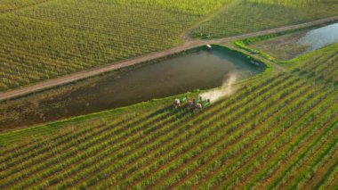 Tarım makineleri gün batımında meyve bahçelerine ot ilacı ve böcek ilacı püskürtüyor. 4k 'lık bir videoda çekildi.