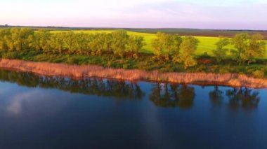 Sakin bir göl manzarası ve akşamları güneş ışığında ekilmiş tarlalar. UHD 4k video ile çekildi.