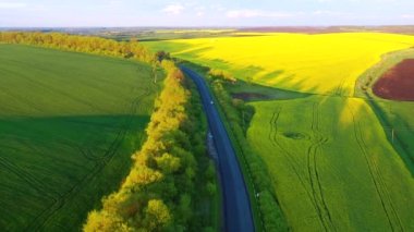 Kırsal yolda uçan İHA tarım arazilerinden ve tarlalardan geçiyor. UHD 4k insansız hava aracı videosunda çekildi.