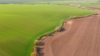 Güneşli bir günde kuşbakışı manzara ve yeşil tarlalar. UHD 4k ile çekilen İHA videosu.