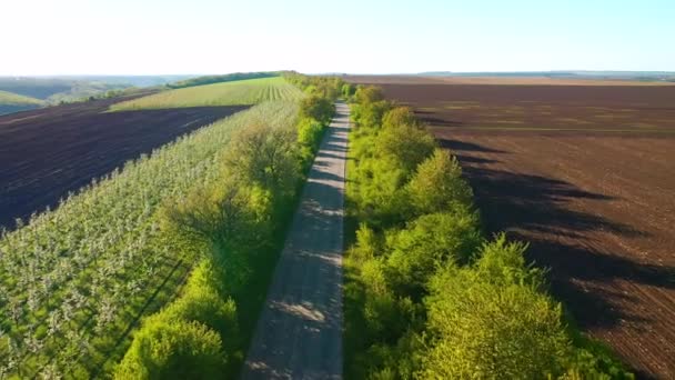 Drone Flyr Landevei Som Passerer Gjennom Jordbruksområde Filmet Drone Video – stockvideo