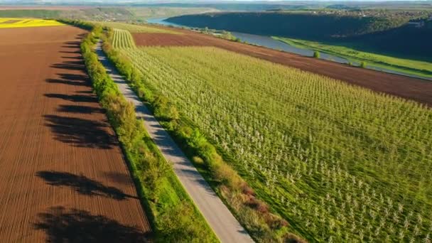 Egy Drón Átrepül Egy Mezőgazdasági Területen Áthaladó Országúton Drónvideóban Forgatták — Stock videók
