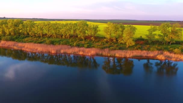 Чудовий Вид Спокійне Озеро Культивоване Поле Сонячному Світлі Ввечері Знято — стокове відео