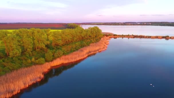 Superbe Vue Sur Lac Calme Champ Cultivé Plein Soleil Soir — Video