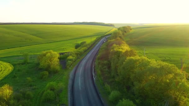 Drone Voa Sobre Uma Estrada Rural Campos Verdes Dia Ensolarado — Vídeo de Stock