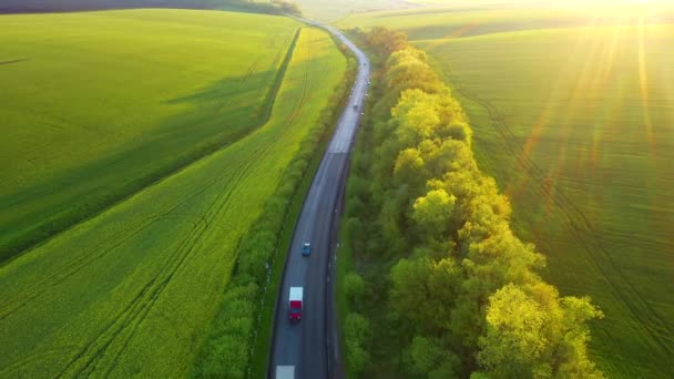 農地や耕作地を通過する農村部の道路上を飛行ドローン Uhd 4Kドローンビデオで撮影 — ストック動画
