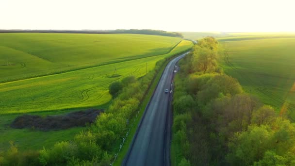 Dron Letící Nad Venkovskou Cestou Procházející Zemědělskou Půdou Obdělávaná Pole — Stock video