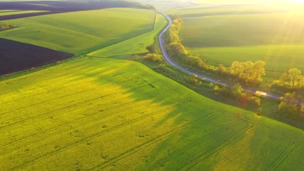 Drone Flyver Landdistrikterne Vej Passerer Gennem Landbrugsjord Dyrkede Marker Filmet – Stock-video