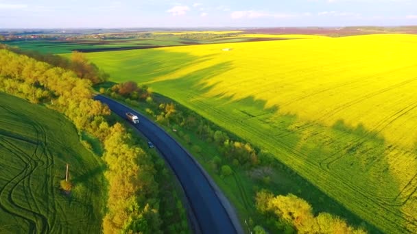 Drone Voa Sobre Uma Estrada Rural Campos Verdes Dia Ensolarado — Vídeo de Stock