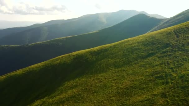 Γαλήνια Καλοκαιρινή Μέρα Καταπράσινους Λόφους Φωτίζεται Από Τον Ήλιο Κινηματογραφήθηκε — Αρχείο Βίντεο