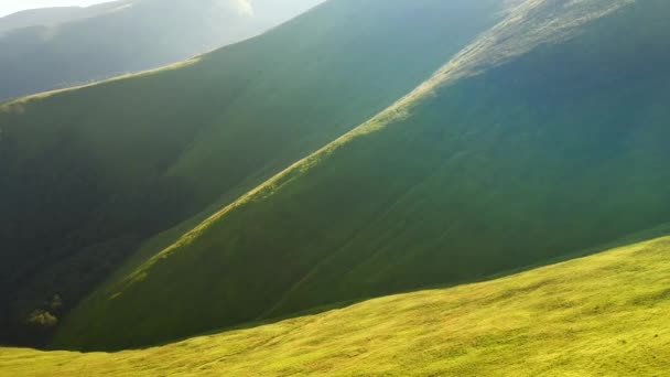 Спокойный Летний День Зелеными Холмами Освещенными Солнцем Съемки Видео Дрона — стоковое видео