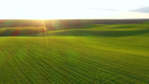 Tavaszi Jelenet Egy Dombos Mezőgazdasági Területről Madártávlatból Uhd Drón Videó — Stock videók