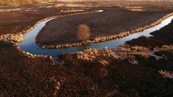 Burnt Dry Grass Nature Reserve River Seret Bird Eye View — Stock Video