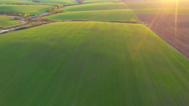 Cena Primavera Lindo Uma Colinas Rolantes Área Agrícola Vista Olho — Vídeo de Stock