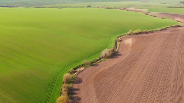 Pittoresk Tafereel Vanuit Vogelperspectief Groene Velden Zonnige Dag Gefilmd Uhd — Stockvideo