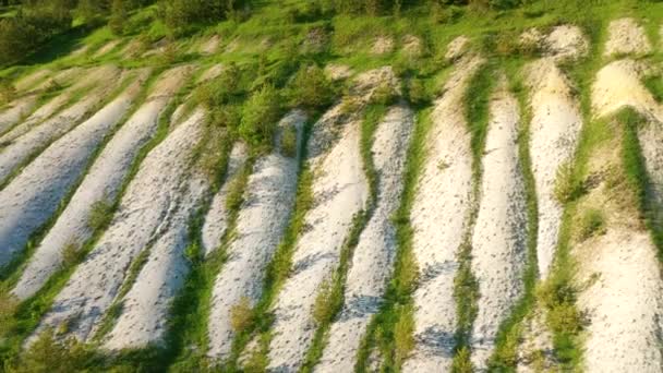 白いチョークの丘と緑の森の上を飛んでいるコッパー Uhd 4Kビデオで撮影 — ストック動画