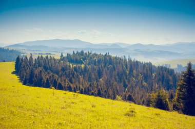 Gün ışığında parlayan dağlarda muhteşem bir gün. Dramatik ve resimli bir sahne. Yeri: Karpatya, Ukrayna, Avrupa. Sanatsal resim. Güzellik dünyası. Yumuşak filtre etkisi.