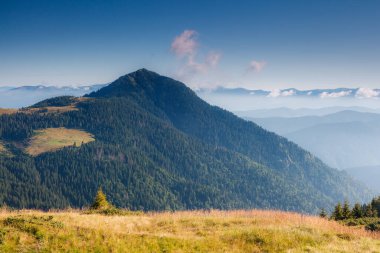 Gün ışığında parlayan dağlarda muhteşem bir gün. Dramatik ve resimli bir sahne. Yeri: Karpatya, Ukrayna, Avrupa. Sanatsal resim. Güzellik dünyası. Yumuşak filtre etkisi.
