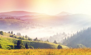 Alacakaranlıkta gün ışığıyla parlayan güzel tepeler. Dramatik bir sahne. Renkli gökyüzü. Carpathian, Ukrayna, Avrupa. Güzellik dünyası. Çapraz işlenmiş retro ve vintage tarzı. Instagram tonlama etkisi. Yumuşak filtre.
