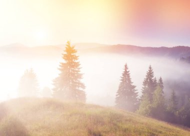 Alacakaranlıkta gün ışığıyla parlayan güzel tepeler. Dramatik bir sahne. Renkli gökyüzü. Carpathian, Ukrayna, Avrupa. Güzellik dünyası. Çapraz işlenmiş retro ve vintage tarzı. Instagram tonlama etkisi. Yumuşak filtre.
