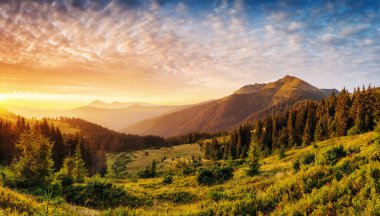 Güneş ışığı altında parlayan dağların resimli görüntüsü. Dramatik sabah sahnesi. Ukrayna, Avrupa 'daki Karpatlar Milli Parkı' nda. Sanatsal resim. Güzellik dünyası. Sıcak tonlama efekti.