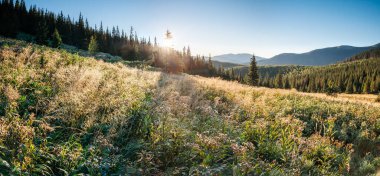 Alacakaranlıkta gün ışığıyla parlayan tepelerin muhteşem manzarası. Dramatik ve resimli bir sabah sahnesi. Mekan: Karpatlar, Ukrayna, Avrupa. Sanatsal resim. Güzellik dünyası. Sıcak tonlama efekti.