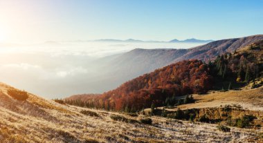 Alacakaranlıkta gün ışığıyla parlayan tepelerin muhteşem manzarası. Dramatik ve resimli bir sabah sahnesi. Yeri: Karpatlar Ulusal Parkı, Ukrayna, Avrupa. Sanatsal resim. Güzellik dünyası. 