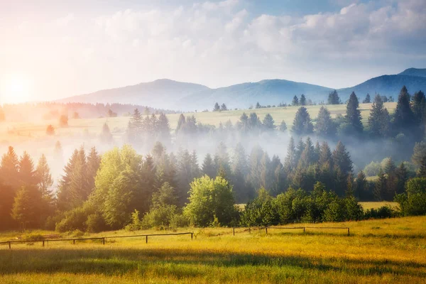 太陽の光で輝く幻想的な緑の丘 劇的な朝のシーン 絵になる写真 場所カルパティア ウクライナ ヨーロッパ 芸術作品 美の世界 — ストック写真