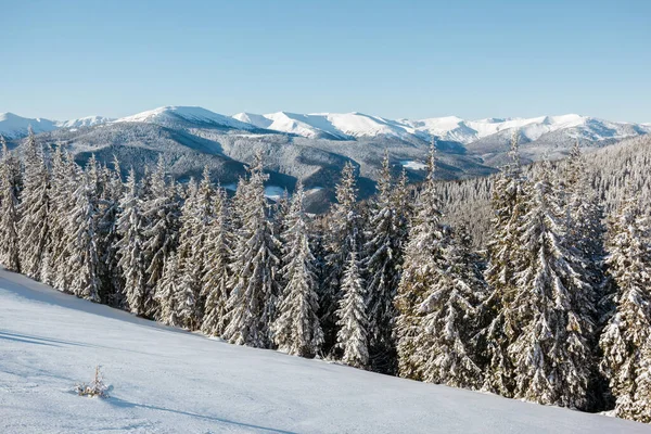 Majestätische Landschaft Glühen Durch Sonnenlicht Morgen Dramatische Winterliche Szene Lage — Stockfoto