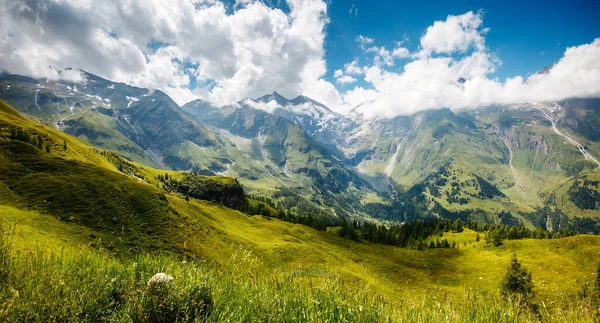 美丽的绿山被阳光照得闪闪发光 戏剧化和风景如画的晨景 位于奥地利格罗斯格洛克纳高山路的著名度假胜地 艺术风格的照片美丽的世界 — 图库照片