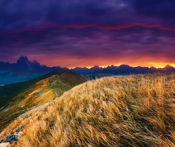 햇빛에 언덕들의 아름다운 풍경이다 아름다움의 창조적 콜라주 부드러운 — 스톡 사진