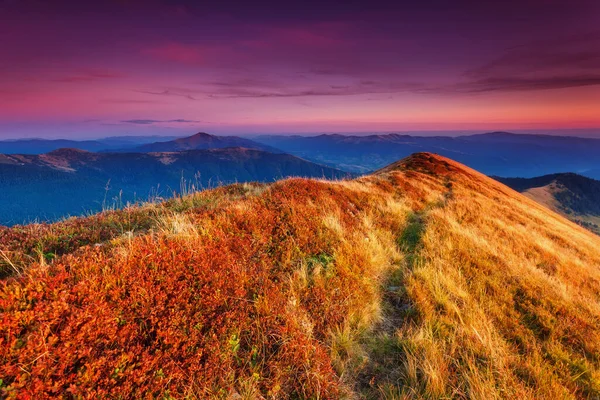 햇빛에 언덕들의 아름다운 풍경이다 카르파티아 우크라이나 아름다움의 — 스톡 사진