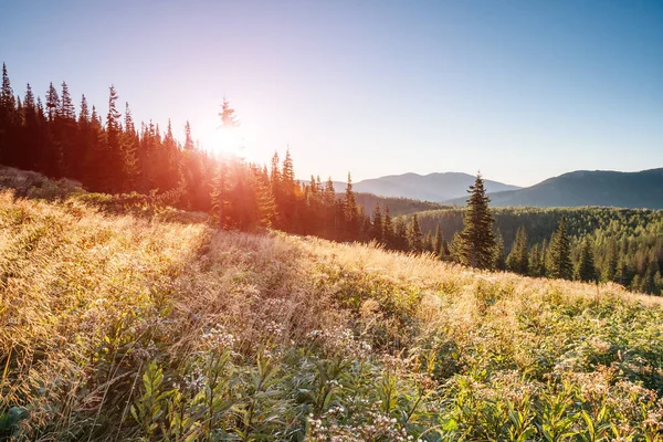 Ein Toller Blick Auf Die Hügel Die Der Dämmerung Sonnenlicht — Stockfoto