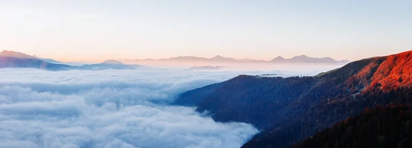 黄昏时分 山上的美景在阳光下闪烁着 戏剧化和风景如画的晨景 喀尔巴阡山国家公园 乌克兰 艺术风格的照片美丽的世界 — 图库照片