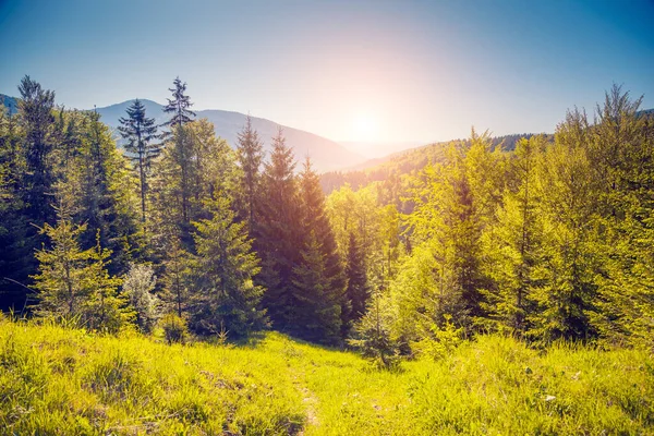 黄昏时分 山上的美景在阳光下闪烁着 戏剧化和风景如画的晨景 喀尔巴阡山 乌克兰 艺术风格的照片美丽的世界保暖效果 — 图库照片